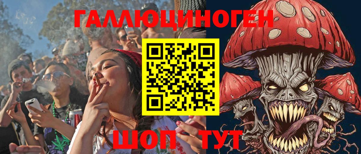 Псилоцибиновые грибы Psilocybe  Вход с VPN  Тверь 